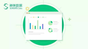 数据分析技术先行 如何提升数据处理与存储服务中的准确性